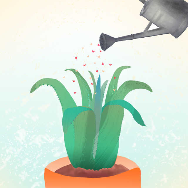 Aloe Vera ilustración a color | copyright by Nailistas Aloe Vera ilustración a color | copyright by Nailistas