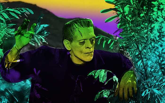 Frankenstein psicodélico